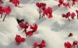 Lijst van bloemen van winterseizoen