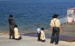 Wat zijn enkele van de regels van de Amish mensen?