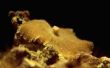 Standaard vermogen voor zachte koralen