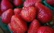 Tips over snijden aardbeien voor Fruit bakjes