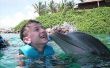 Hoe om te zwemmen met dolfijnen excursies in Nassau Bahama's vergelijken