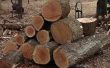 Hoe te splitsen, stapelen en opslaan brandhout & berekenen van het Volume