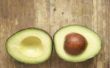How to Grow avocado's uit stenen