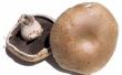 How to Cook Portobello champignons