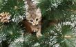 Creatieve manieren om een Kitten voor Kerstmis
