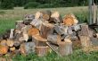 Hoe te identificeren van een soort brandhout