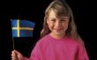 How to Make Zweedse ambachten