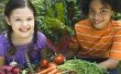 Kinderen van de tuin: lessen in levenslang voeding