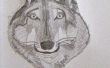 Hoe teken je een Wolf-gezicht