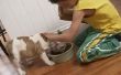 Hoe leren kinderen tot zorg voor huisdieren