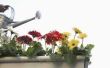 Hoe maak je een Tipping Pot bloemstuk