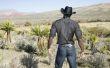 Wat zijn de voordelen van een Cowboy?