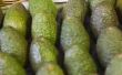Hoe te rijpen & verzachten van avocado 's