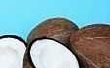 Het gebruik van kokosolie voor vlooien, zweren en vacht problemen op uw huisdier