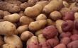 Rood-gevilde aardappelen vs. anderen