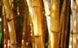 How to Tie een Trellis bamboe op de hoeken