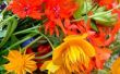 Ideeën voor goedkope bloem Centerpieces