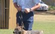 Hoe word ik een NSW politie Squad hondengeleider