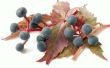 Wijnstokken met blauwe bessen & rode bladeren in de herfst