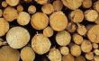 Hoe droog hout Logs