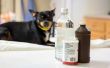 Hoe u kunt gebruiken azijn om Skunk geur af van een hond