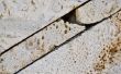 Verwijderen van schimmel vlekken uit kalksteen