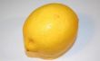 Instructies voor de citroen reinigen dieet