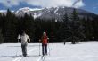 Hoe te verwijderen Wax uit Cross-Country Ski 's