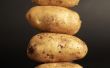 Hoe Fry Tilapia met aardappel vlokken