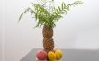 Hoe maak je een Palm Tree decoratie met behulp van ananas