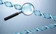 Een lijst van banen hebben te doen met DNA & de studie van DNA