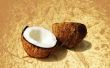 Hoe te bevochtigen droge kokosnoot vlokken