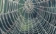 Hoe maak je een groot spinnenweb