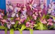 Hoe te verwijderen van de schaal over orchideeën