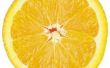 Hoe te dehydrateren sinaasappelen in een Food Dehydrator