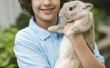 How to Get Rid van een konijnenhol