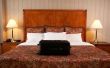 Hoe om te doden van de vlooien en Bed Bugs in een hotelkamer