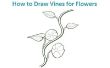 Hoe teken je wijnstokken voor bloemen