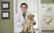 Hoe te te evalueren van de marktwaarde van een veterinaire kliniek