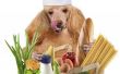 Hoe maak je vegetarisch Eigengemaakte Hondevoer