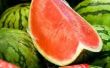Hoeveel Water heeft een watermeloen Plant nodig?