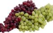 Waarom zijn de druiven aan de wijnstok te sterven?
