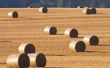 Hoe om te spuiten een Hay veld met kunstmest & Weed Killer gelijktijdig