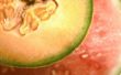 Het behouden van Kantaloepen & watermeloenen