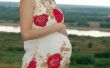 Zwangerschaps-en bevallingsverlof & terug aan het werk van wetten