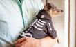 10 leuke hond kostuums voor Halloween