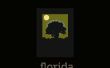 Het wijzigen van het adres op een kaart van de kiezers in Florida