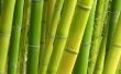 How to Make Bamboo manden