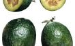 Het verschil tussen een Guayaba en een Guava