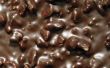 Het behouden van chocolade overdekte Oreo Cookies